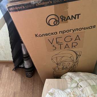 Коляска прогулочная Rant Vega star Soft Grey: отзыв пользователя Детский Мир