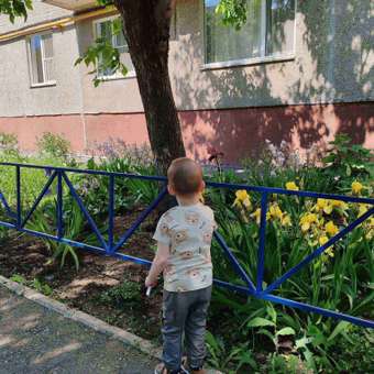 Брюки Baby Gо: отзыв пользователя Детский Мир