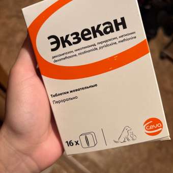 Препарат антигистаминный для собак и кошек CEVA Экзекан №16 таблетки: отзыв пользователя. Зоомагазин Зоозавр