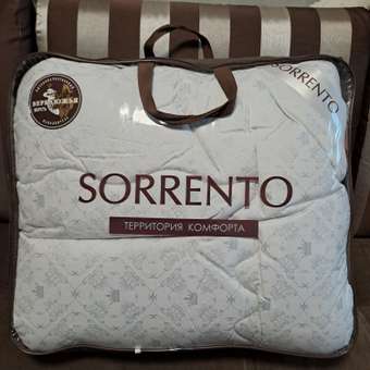 Одеяло SORRENTO DELUXE Верблюжья шерсть классика тик 172*205: отзыв пользователя Детский Мир