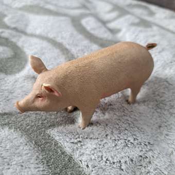 Фигурка Collecta Свинья: отзыв пользователя Детский Мир