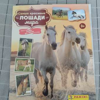 Альбом Panini Лошади Horses: отзыв пользователя Детский Мир