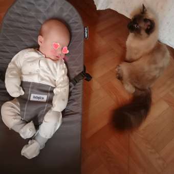 Шезлонг Babyton Balance Темно-серый: отзыв пользователя ДетМир