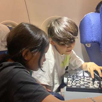Шахматы Attivio магнитные OTG0906630: отзыв пользователя Детский Мир