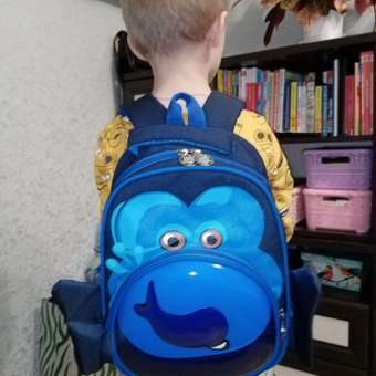 Детский рюкзак Слон SHARKTOYS для школы ортопедический: отзыв пользователя Детский Мир