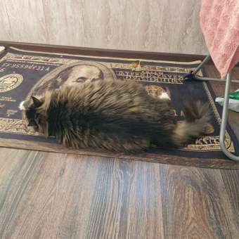 Корм для кошек Farmina VetLife обесити 2кг: отзыв пользователя. Зоомагазин Зоозавр