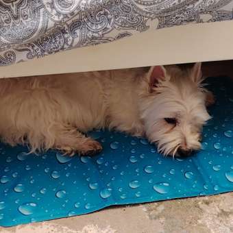 Коврик охлаждающий для животных Homepet Silver series bubble 60*40см: отзыв пользователя. Зоомагазин Зоозавр