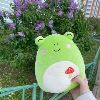 Игрушка мягкая Squishmallows Зеленый лягушонок: отзыв пользователя Детский Мир