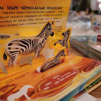Набор книг Malamalama Коллекция карманных объемных энциклопедий о животных в сундучке: отзыв пользователя Детский Мир