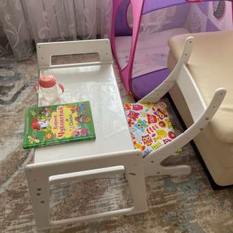 Комплект мебели детский Друг Кузя растущий стул и стол: отзыв пользователя Детский Мир