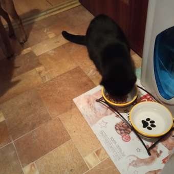 Корм сухой для кошек Cat Chow 1.5кг с домашней птицей и индейкой: отзыв пользователя. Зоомагазин Зоозавр