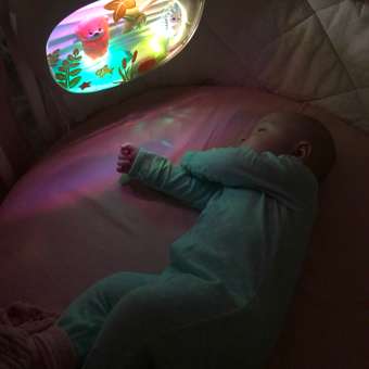 Игрушка Fisher Price: отзыв пользователя Детский Мир