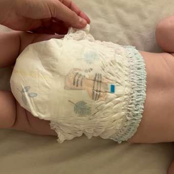 Подгузники-трусики Pampers Premium Care Pants 3 6-11кг 28шт: отзыв пользователя Детский Мир