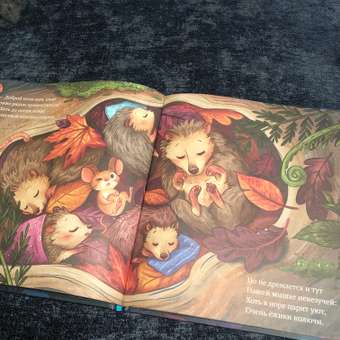 Книга Clever Издательство Книжки-картинки. Сладких снов малышка мышка!: отзыв пользователя Детский Мир