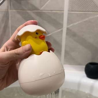 Игрушка для купания S+S Лейка Яйцо Цыпленок в коробке: отзыв пользователя Детский Мир