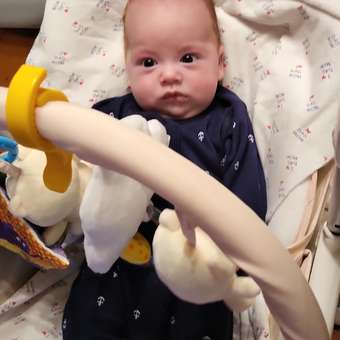 Подвеска Мякиши Развивающая детская игрушка погремушка Облачко на кроватку подарок для новорожденных: отзыв пользователя Детский Мир