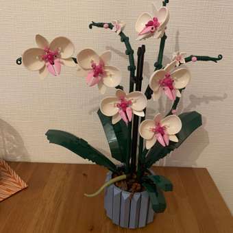 Конструктор LEGO Botanicals Orchid блочный: отзыв пользователя Детский Мир