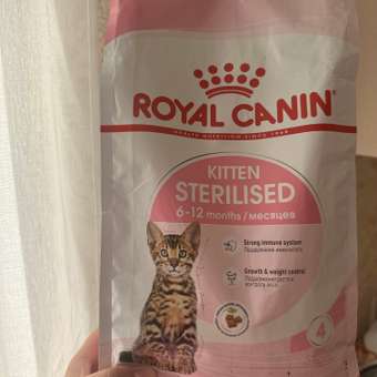 Корм сухой для котят ROYAL CANIN Sterilised 2кг стерилизованных: отзыв пользователя. Зоомагазин Зоозавр