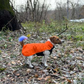 Куртка для собак RUKKA PETS 30 Оранжевый 560513525JV45030: отзыв пользователя Детский Мир