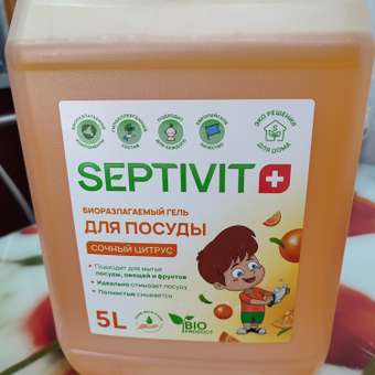 Средство для мытья посуды SEPTIVIT Premium Сочный цитрус 5л: отзыв пользователя Детский Мир