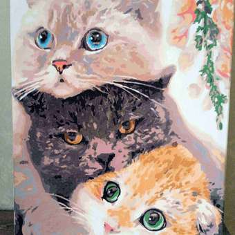 Картина по номерам ARTOP Три нежных кота 40*50: отзыв пользователя Детский Мир