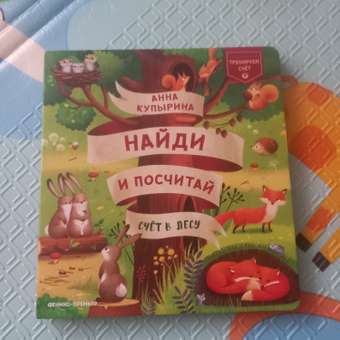 Книга Феникс Премьер Счет в лесу: отзыв пользователя Детский Мир