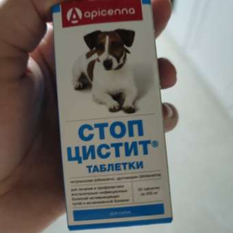 Препарат для собак Apicenna Стоп-Цистит Био суспензия 50мл витамины для ...