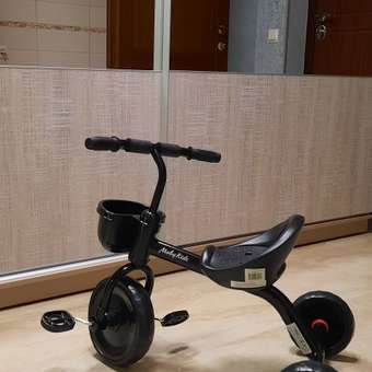 Велосипед трехколесный Moby Kids Енотик колеса 9/7 EVA: отзыв пользователя Детский Мир