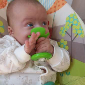 Прорезыватель BabyGo Green: отзыв пользователя Детский Мир
