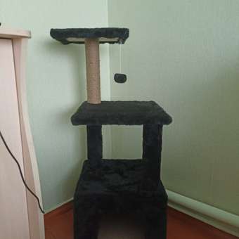 Домик для кошки с когтеточкой Pet БМФ Черный: отзыв пользователя. Зоомагазин Зоозавр
