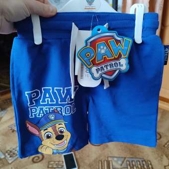 Шорты Paw Patrol: отзыв пользователя Детский Мир
