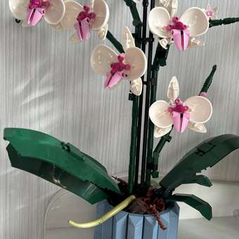 Конструктор LEGO Botanicals Orchid блочный: отзыв пользователя Детский Мир
