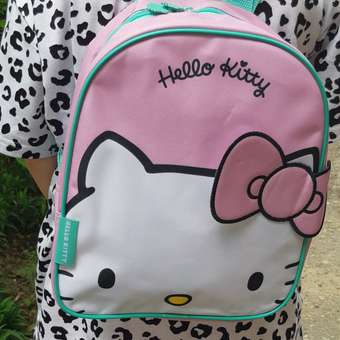 Рюкзак дошкольный Erhaft Hello kitty HK-SH01: отзыв пользователя Детский Мир