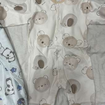 Комбинезон Chicco: отзыв пользователя Детский Мир