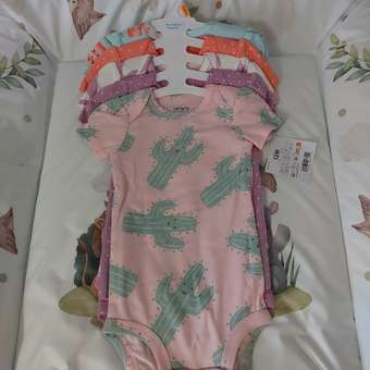 Боди 5 шт Carters: отзыв пользователя Детский Мир