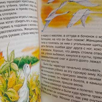 Книга Росмэн Сказки Андерсен Х К Внеклассное чтение: отзыв пользователя Детский Мир