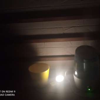 Светодиодный ночник PROconnect Firefly-pro с датчик «день-ночь»: отзыв пользователя Детский Мир