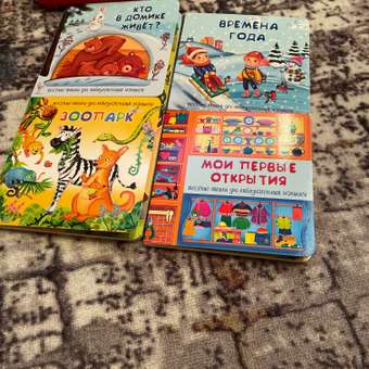 Детские книжки BimBiMon Веселые окошки для любознательных малышей - 2: отзыв пользователя Детский Мир