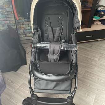 Коляска 2в1 Riko Basic Montana Ecco: отзыв пользователя Детский Мир