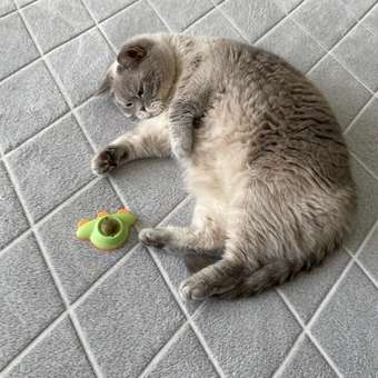 Игрушка Sima-Land для кошек «НЛО» из кошачьей мяты зеленый цвет: отзыв пользователя. Зоомагазин Зоозавр