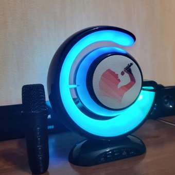 Колонка и 2 микрофона караоке CASTLELADY портативная беспроводная голубая: отзыв пользователя Детский Мир