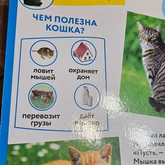 Книга УМка Домашние животные Простоквашино: отзыв пользователя Детский Мир