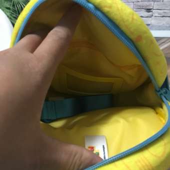Рюкзак детский для мальчиков Барбоскины 3 кармана: отзыв пользователя Детский Мир
