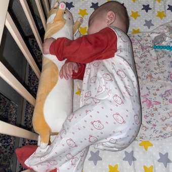 Детская кроватка Babyton Береза New прямоугольная, без маятника (бежевый): отзыв пользователя ДетМир