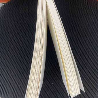 Скетчбук ПСВ А5 210грамм с черной обложкой вертикальный 60 листов: отзыв пользователя Детский Мир
