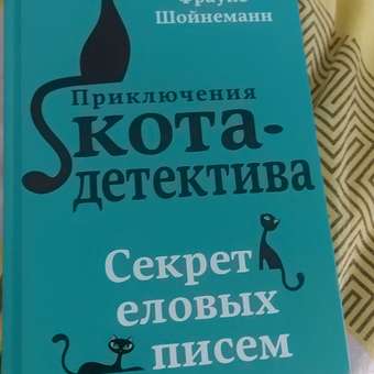 Книга Приключения Кота Детектива Секрет еловых писем: отзыв пользователя Детский Мир