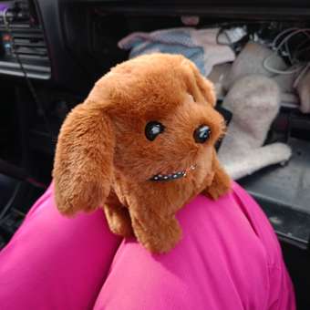 Интерактивная игрушка мягкая FAVORITSTAR DESIGN Собака с косточкой Дружик: отзыв пользователя Детский Мир