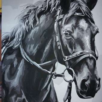 Картина по номерам Art sensation холст на подрамнике 40х50 см Ласковый конь: отзыв пользователя Детский Мир