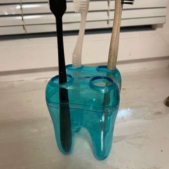 Органайзер для щёток Rabizy зуб прозрачный зеленый: отзыв пользователя Детский Мир