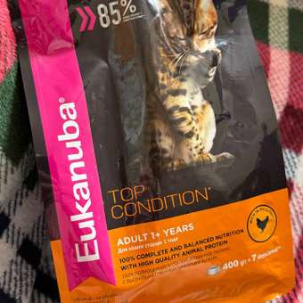 Корм сухой для кошек Eukanuba Cat 400г с домашней птицей: отзыв пользователя. Зоомагазин Зоозавр